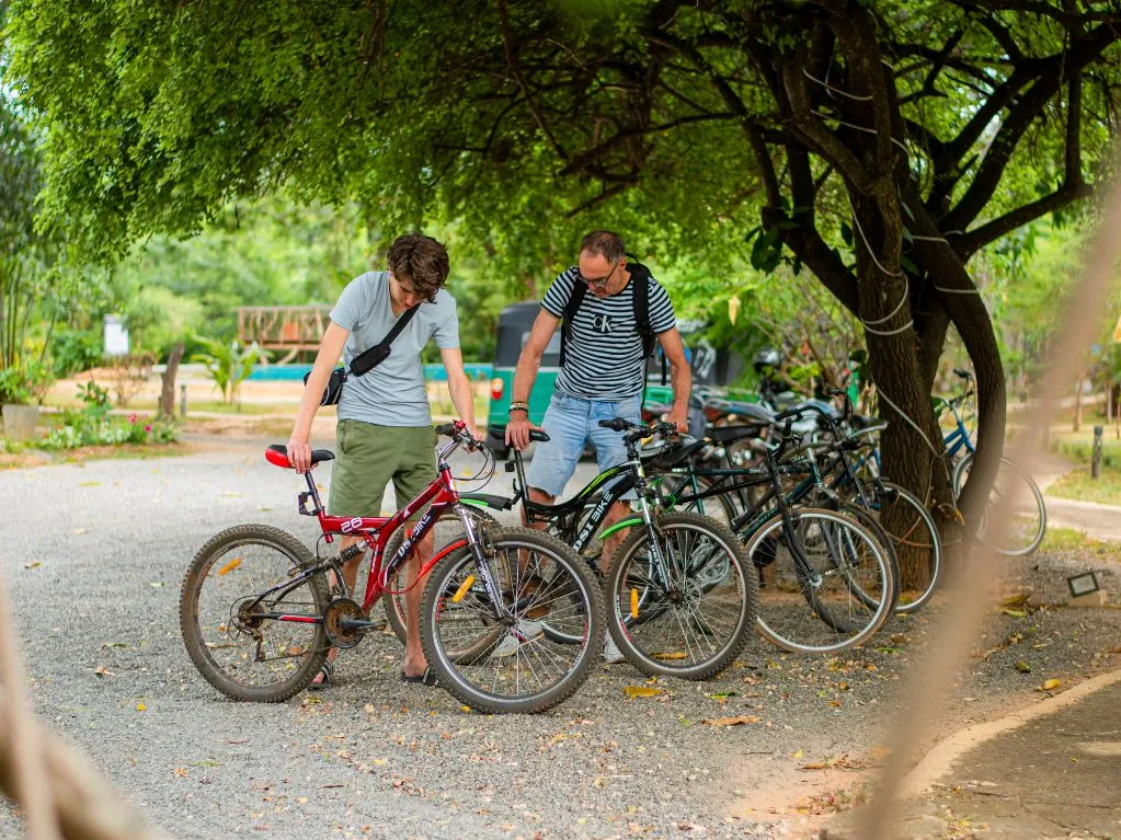 Bicycle ride