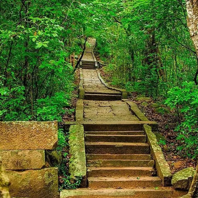 Ritigala Forest Monastery