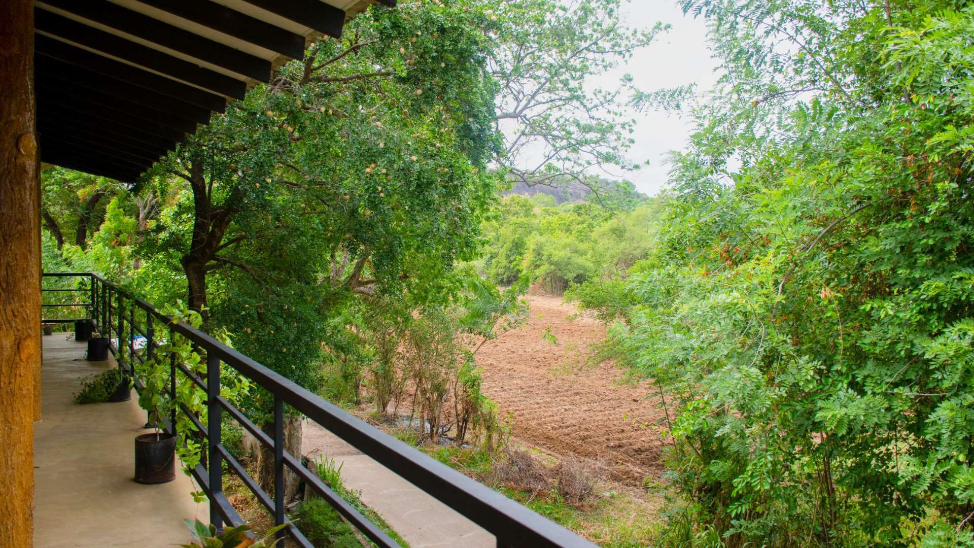 Sigiriya Cottage